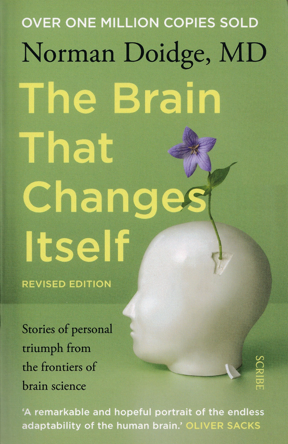 Brain that changes Itself, The