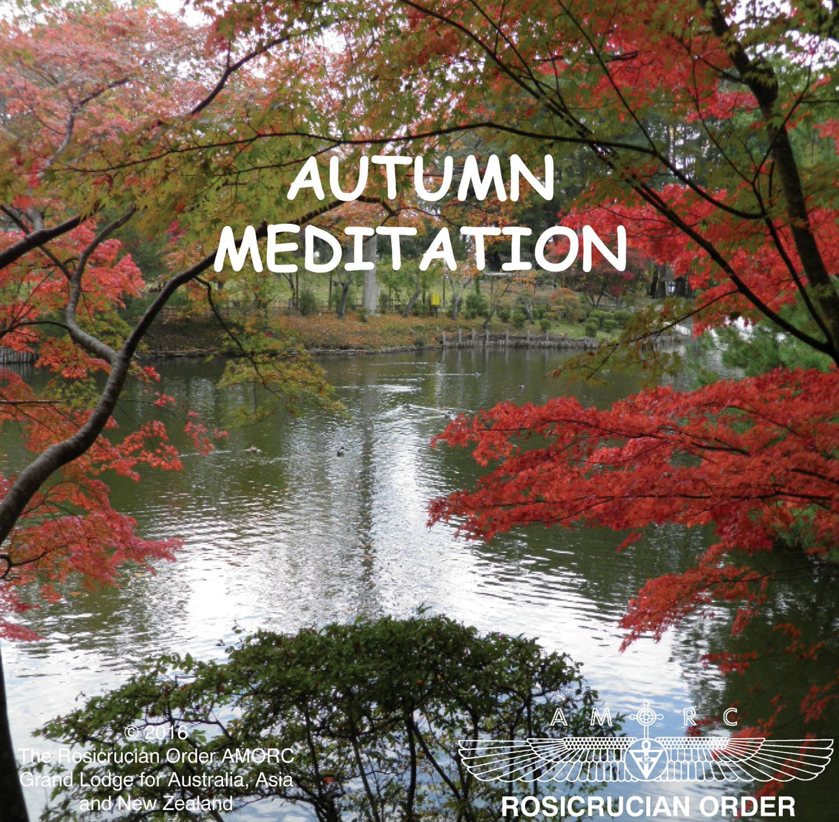 Meditation Service Work CD Collection